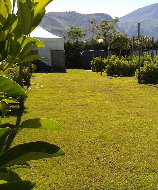campeggio-green-paradise-bar-reception